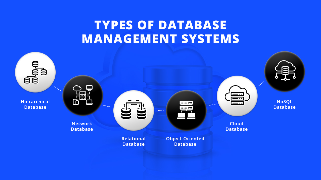 codelab projects nigeria Database Management